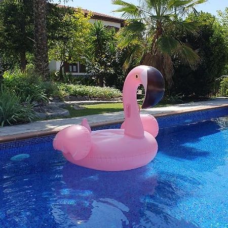 Casa Los Flamencos Моначил Екстериор снимка
